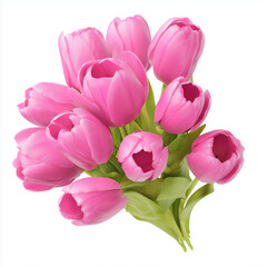 Obraz premium Bright Pink Tulip Bouquet Isolated on White Background, Fresh Spring Floral Arrangement