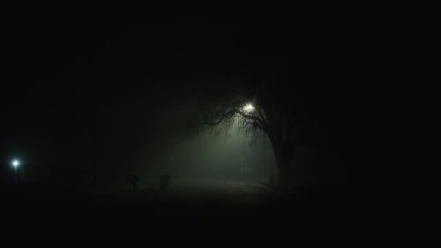 Empty residential street at night covered in dense fog, where a streetlight illuminates the tree canopy and part of the road, creating a dark atmosphere of silence, isolation, and uneasy anticipation