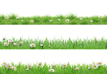Naklejka premium Spring daisy flowers and lush green grass against white background, collage