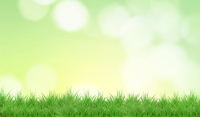 Fototapeta premium Lush spring grass against blurred green background with bokeh lights. Banner design