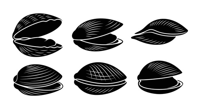 Set of six black and white clam shell illustrations, open and closed, isolated on white background