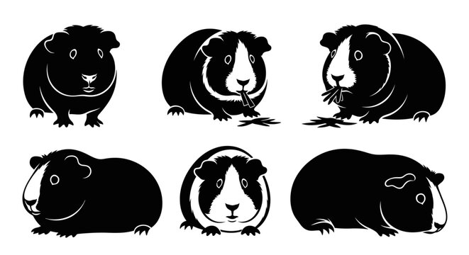 Set of Six Black and White Guinea Pig Silhouettes, Various Poses, Isolated on White Background