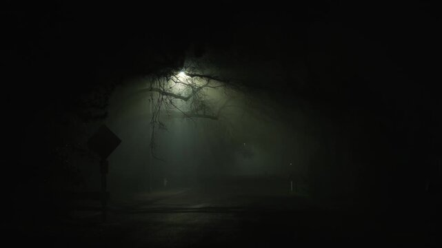 Empty urban street at night in dense fog, where a streetlight illuminates tree branches and a road sign, creating a dark atmosphere of uncertainty, silence, and uneasy anticipation