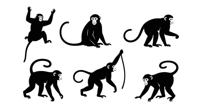 Set of six black monkey silhouettes in various poses on a white background