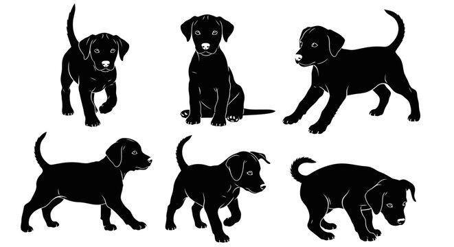 Set of Six Black Labrador Puppies Silhouettes in Various Poses