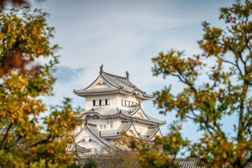 Himeji castle tower seen across autumn trees in Himeji, Japan