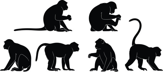 Macaque monkey silhouettes. Asian primate sitting, crouching and walking poses collection. Wild forest monkey wildlife vector illustration set. © Olivia