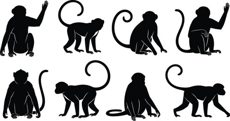 Monkey silhouette set. Primate sitting, waving and walking poses with curled tails. Jungle wildlife monkey vector illustration collection. © Olivia