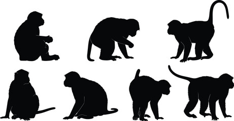 Macaque monkey silhouette set. Asian primate sitting, crouching and walking poses. Wild forest macaque wildlife animal vector illustration collection. © Olivia