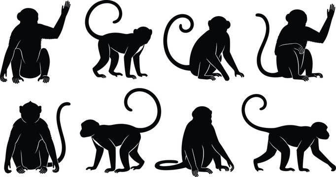 Monkey silhouette set. Primate sitting, waving and walking poses with curled tails. Jungle wildlife monkey vector illustration collection.