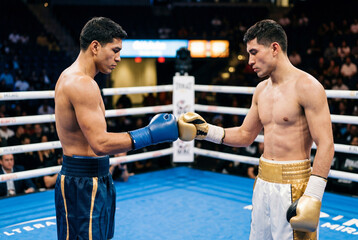 Obraz premium Two boxers in blue and gold gloves touch fists in a boxing ring showing respect
