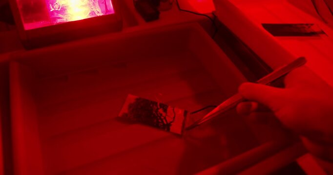 Creative control of analog photo printing through test strip development and exposure adjustment in darkroom