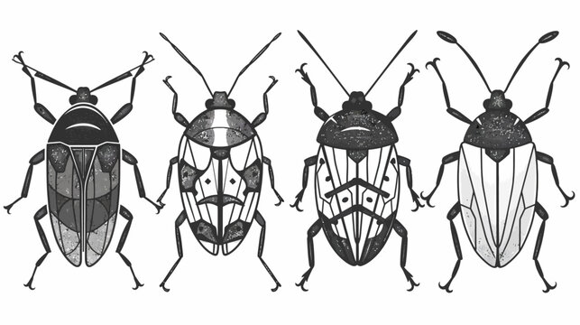 Four patterned seed bugs sit side-by-side, legs and antennae extended, on a white background