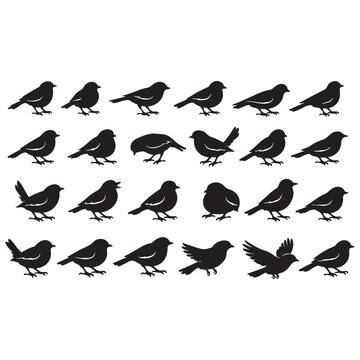 Large Set of Bird Silhouettes in Perching and Flying Poses &mdash; Black Vector Collection of Sparrows, Finches, Doves and Wild Songbirds for Nature, Tattoo, Logo and Decorative Design