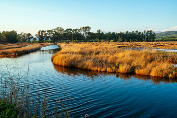 Water Channel and Reeds at Gialova Lagoon Wetland in Greece © akarb