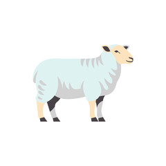 Obraz premium Sheep Illustration of Standing Ram Cartoon Style Image