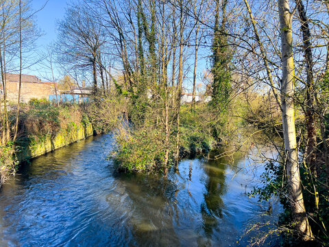 River Colne flows through Staines-upon-Thames in Surrey, UK before joining The River Thames.
