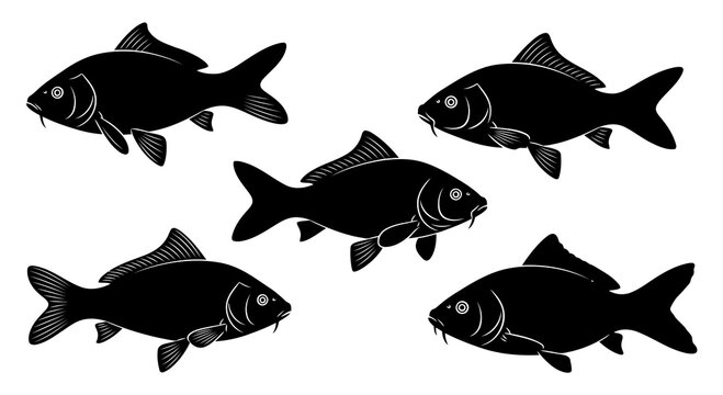A group of five black fish silhouettes against a white background.