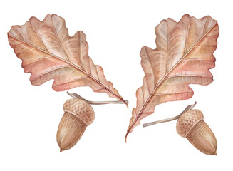 Watercolor autumn set with orange oak leaf and acorn isolated on white background. Forest nature plant foliage leaves. Clipart for halloween sticker and card. Wallpaper or wrapping and sketchbook © NatashaKun