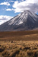 Snow-capped volcano in desert landscape with dramatic sky © Sebastian