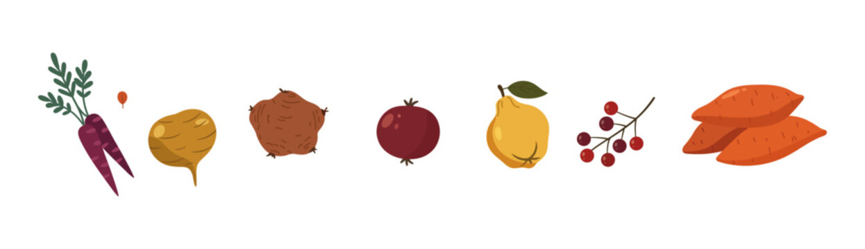 Vector illustration set of fresh vegetables including carrot, beetroot, onion, pomegranate, pear, berries, and sweet potato. Ideal for food design, healthy eating, agriculture, and organic products.