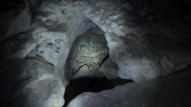 Terrapene turtle moving slowly inside a dark, rocky crevice, illuminated by a flashlight