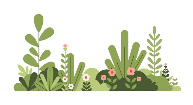 Variety of green plants and flowers.