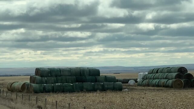 Wide view of stacked hay bales across open prairie farmland under dramatic cloudy sky, rural agriculture landscape and feed storage scene