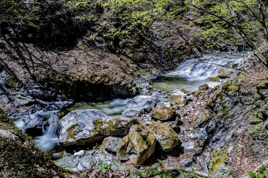 水, 川, 流れ, たき, 自然