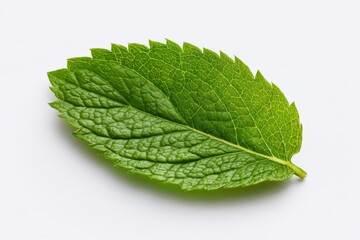 Obraz premium A single, perfect, fresh mint leaf, isolated on a plain white background, studio lighting, no shadows.