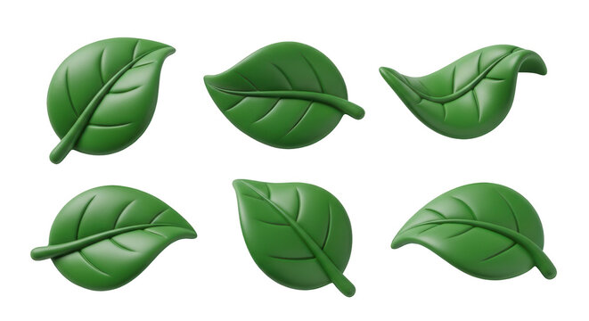 six 3d rendered green leaves arranged on a white background nature eco or design concepts