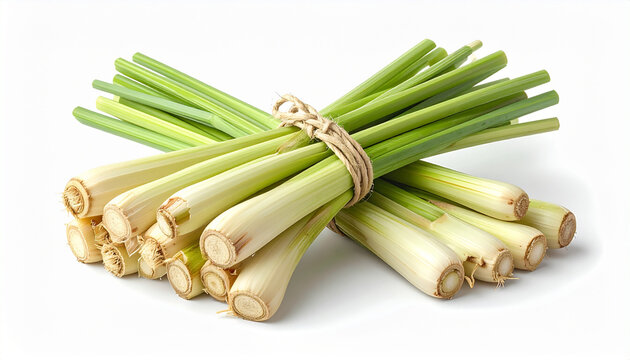 Fresh lemongrass bundle on white background healthy organic food concept
