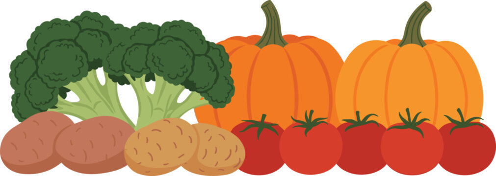 Flat vector illustration of fresh garden vegetables including orange pumpkins green broccoli red tomatoes and brown potatoes for healthy autumn harvest and organic nutrition concepts.