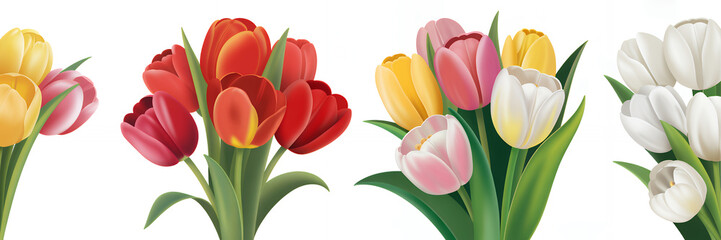 Fototapeta premium Colorful tulips on white background flowers red tulips pink tulips