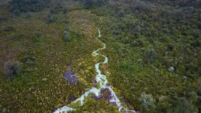 Overhead drone view of a milky turquoise thermal stream meandering through green paramo, with bubbling pools and mossy wetlands near Purace, Cauca, Colombia.