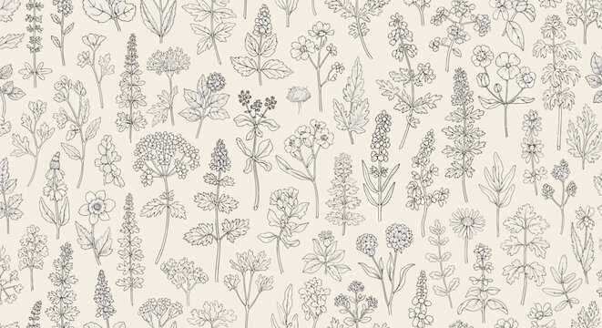 Seamless pattern with hand drawn wild flowers and herbs botanical illustration of meadow plants, floral background for textile, wallpaper, wrapping paper, fabric, stationery, and packaging design