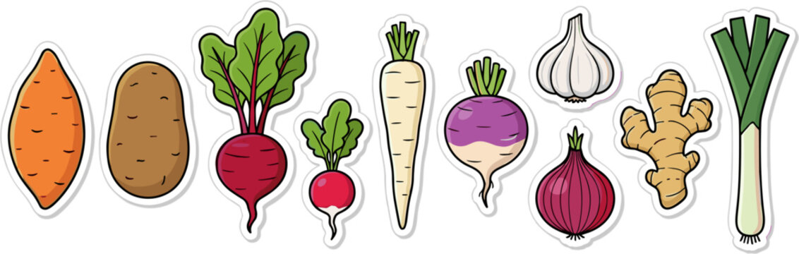 Assorted root vegetable stickers isolated on white background vector illustration