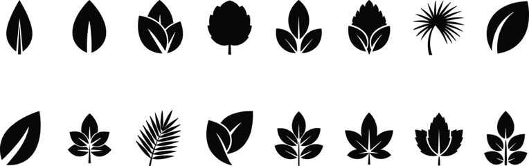 Obraz premium Collection of black leaf icons and organic foliage shapes set on white background representing nature eco friendly environment sustainability and biology