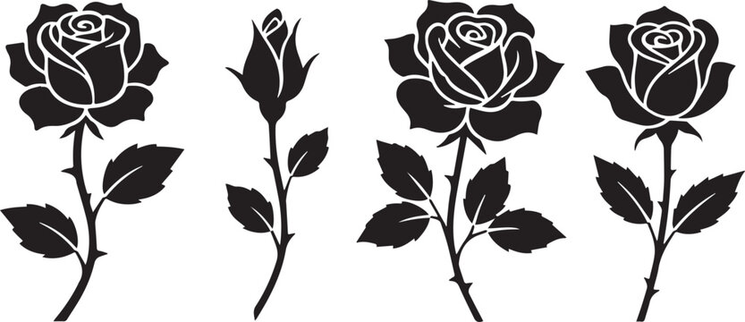 Black Rose Silhouettes Floral Design Vector Illustration