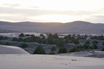 Scene at St Anthony Sand dunes Idaho. Natural wonder sen for miles with mountain backdrop. Trees dotted around the dunes. © Joseph