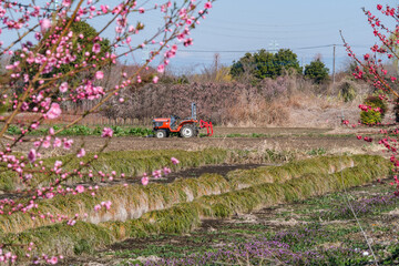 花桃とトラクター © Snoopy walk