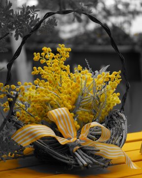 ミモザの切り花がかごに飾り付け