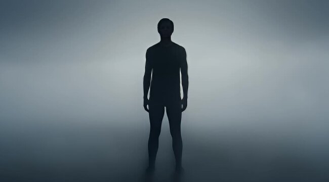 Silhouette of a lone man standing in atmospheric fog, representing isolation, introspection, and existential themes.