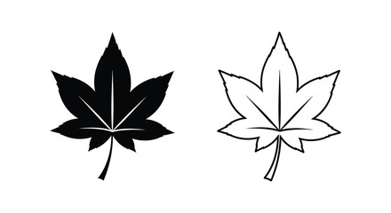 Two maple leaves one dark and one light presented as a striking silhouette © MdShifulIslam