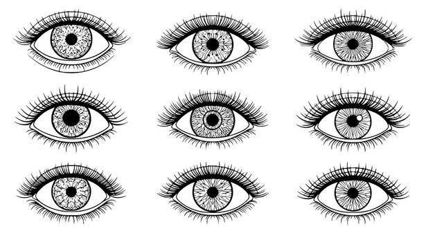 Decorative human eyes vector detailed iris line pattern illustration set