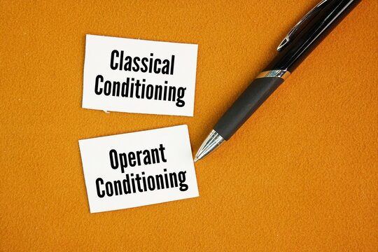Psychologists recognize two primary types of learning: classical conditioning and operant conditioning word. What are the two main classes of learning?