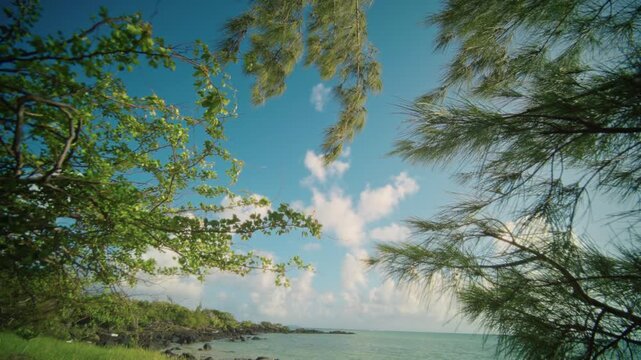 Peaceful landscape with water. Quiet bay with lush leaves and gentle breeze effect. Idyllic waterfront view featuring lush tree canopy and soothing aquatic scenery