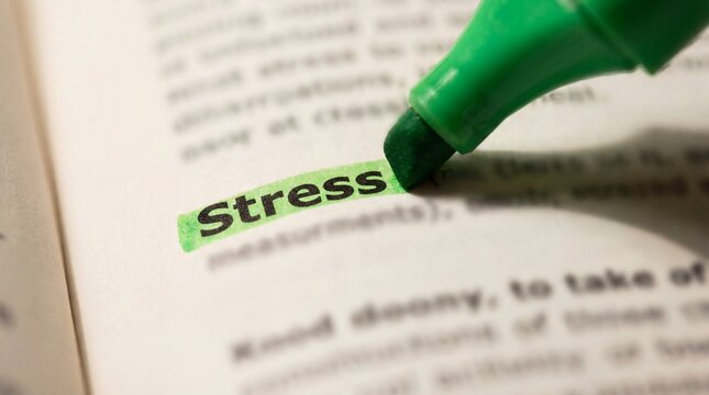 Green marker highlighting stress definition in a book closely