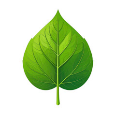 Obraz premium A vibrant green stylized leaf with detailed venation against a stark black background.