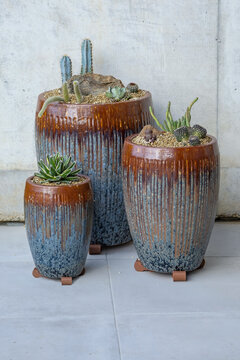 A group of three matching glazed porcelain planters that have been planted with cactus and succulent plants on display on a terrace